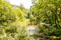 A view down the River Severn in Wales, UK Royalty Free Stock Photo