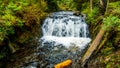 Upper Rolley Falls in the temperate rain forest of Rolley Lake Provincial Park