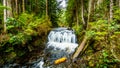 Upper Rolley Falls in the temperate rain forest of Rolley Lake Provincial Park