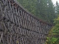 Wooden railroad bridge Kinsol Trestle on foggy day in autumn season leading through dense forest on Vancouver Island, BC, Canada. Royalty Free Stock Photo