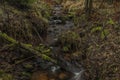 Upper watercourse of Bilina river in Krusne hory mountains in winter day