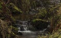 Upper watercourse of Bilina river in Krusne hory mountains in winter day