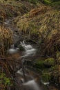 Upper watercourse of Bilina river in Krusne hory mountains in winter day