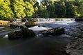 Upper Waterfall Aysgarth Royalty Free Stock Photo