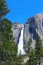 Upper Yosemite Fall, Yosemite, Yosemite National Park Royalty Free Stock Photo