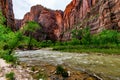 Upper Zion National Park, Utah. Royalty Free Stock Photo