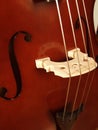 Upright Bass Royalty Free Stock Photo