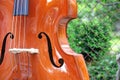 Upright bass outside by fence