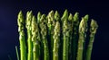 Upright Fresh Asparagus Stalks With Water Droplets Against Dark Background Highlighting Green Color Royalty Free Stock Photo