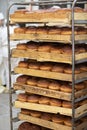 Upright lots of bread on pallets.