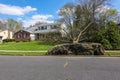 An uprooted fallen tree laying on the lawn in front of a house. Royalty Free Stock Photo