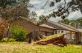 Uprooted large tree sawed off to stump but tilting out of residential yard by brick house after supercell even Royalty Free Stock Photo