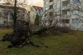 Uprooted tree fell on a house after a serious storm named eberhard Royalty Free Stock Photo