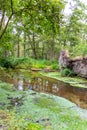 Uprooted tree after hurricane shows extreme weather at idyllic creek and tranquil river with deracinated tree in the woods Royalty Free Stock Photo