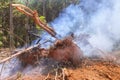 Uprooted trees were felled burned during preparation of land for construction a house