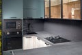 Upscale Aqua Menthe kitchen in luxury home with hob induction electric microwave oven flat wooden panels design ceramic