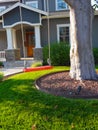 Upscale home with shaded front yard and swing Royalty Free Stock Photo