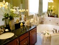 Upscale Master Bathroom Royalty Free Stock Photo