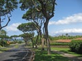 Upscale Maui residential neighborhood