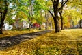 Upscale neighborhood colorful fall foliage of yellow maple trees, two story houses, thick rug of autumn leaves along quite