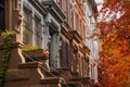 upscale New York City apartment building homes with colorful trees