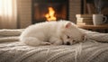 Cozy Puppy Napping by a Warm Fireplace Royalty Free Stock Photo