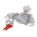 Upset character of gray goose flying and looking down, cartoon illustration, isolated object on white background, vector