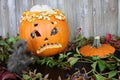 A worried looking carved pumpkin with his brains spilling out looking at a toy rat Royalty Free Stock Photo