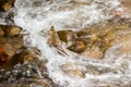 Upset water in a mountain stream. Royalty Free Stock Photo