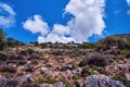 Upshot of beautiful typical Greek landscape, clouds in clear blue sky. Low bending tree, bushes on rocky hills. Akrotiri