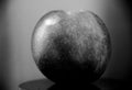 Artistic photo of an apple in black and white