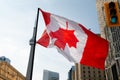 Upside-down Canada Flag at March For Freedom, Toronto