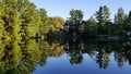 Upside down lake reflection forest trees calm water Royalty Free Stock Photo