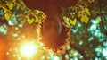 Upside-Down Portrait of a Person Hanging from a Tree Branch, giving a playful, topsy-turvy perspective in a sunlit park