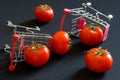 Upside-down supermarket carts and fresh red tomatoes are scattered on a dark background. Concept of trade problems, farm strikes