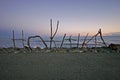 Upstanding driftwood sign of the town of Hokitika on beach in daw