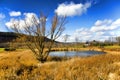 Upstate New York Farm Pond and Field in Late Fall