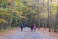 Upstate New York, U.S - October 15, 2022 - A group of visitors walking on the nature trail of Taughannock Falls State Park