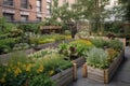 uptown garden with raised beds, planters, and hanging baskets