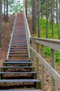 Upward stairway with railing in coniferous wood