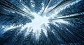 Upward view of tall, snow-covered trees in a winter forest, creating a circular frame of branches against the sky, showcasing the