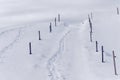 Slope with fence posts and traces in deep snow, white winter season Royalty Free Stock Photo