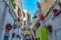 Colorful Street with Potted Plants in the El Jdid Medina in Fez Morocco Royalty Free Stock Photo