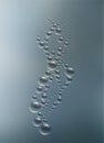 Upwelling air bubbles