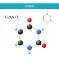 Uracil molecular formula. Chemical structural formula and model Royalty Free Stock Photo