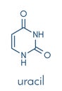 Uracil U nucleobase molecule. Present in ribonucleic acid RNA. Skeletal formula. Royalty Free Stock Photo
