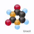 Uracil, U. Pyrimidine nucleobase molecule. Present in DNA. 3D vector illustration on white background