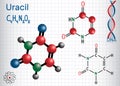 Uracil U - pyrimidine nucleobase in the nucleic acid of RNA. Royalty Free Stock Photo