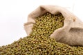 Urad dal Royalty Free Stock Photo