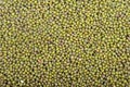 Urad dal Royalty Free Stock Photo